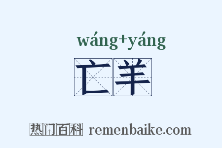 亡羊是什么意思的图片